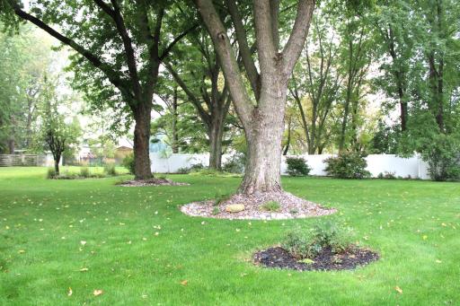 Winona, MN 55987