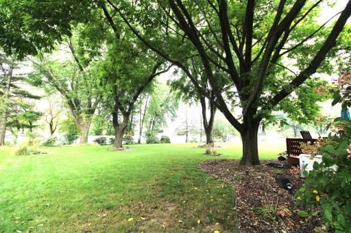 Winona, MN 55987