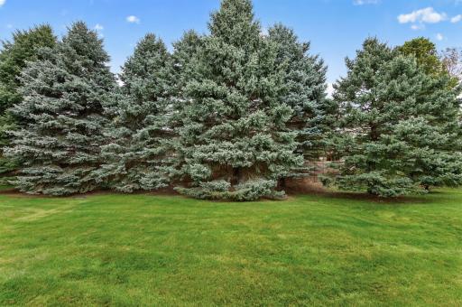 10154 Country Club Curve, Saint Paul, MN 55129