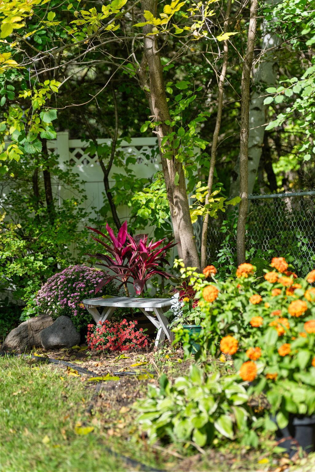 Backyard is still in bloom