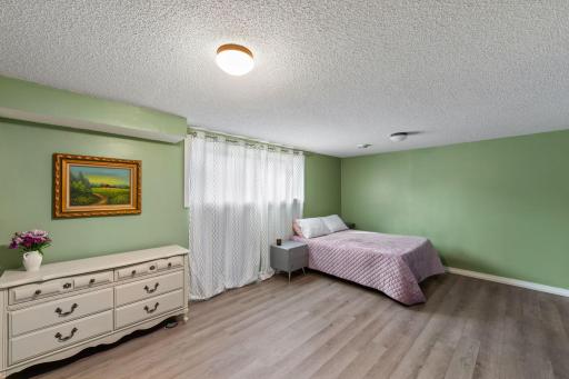 Lowest Level flex room as an additional family room or 4th bedroom