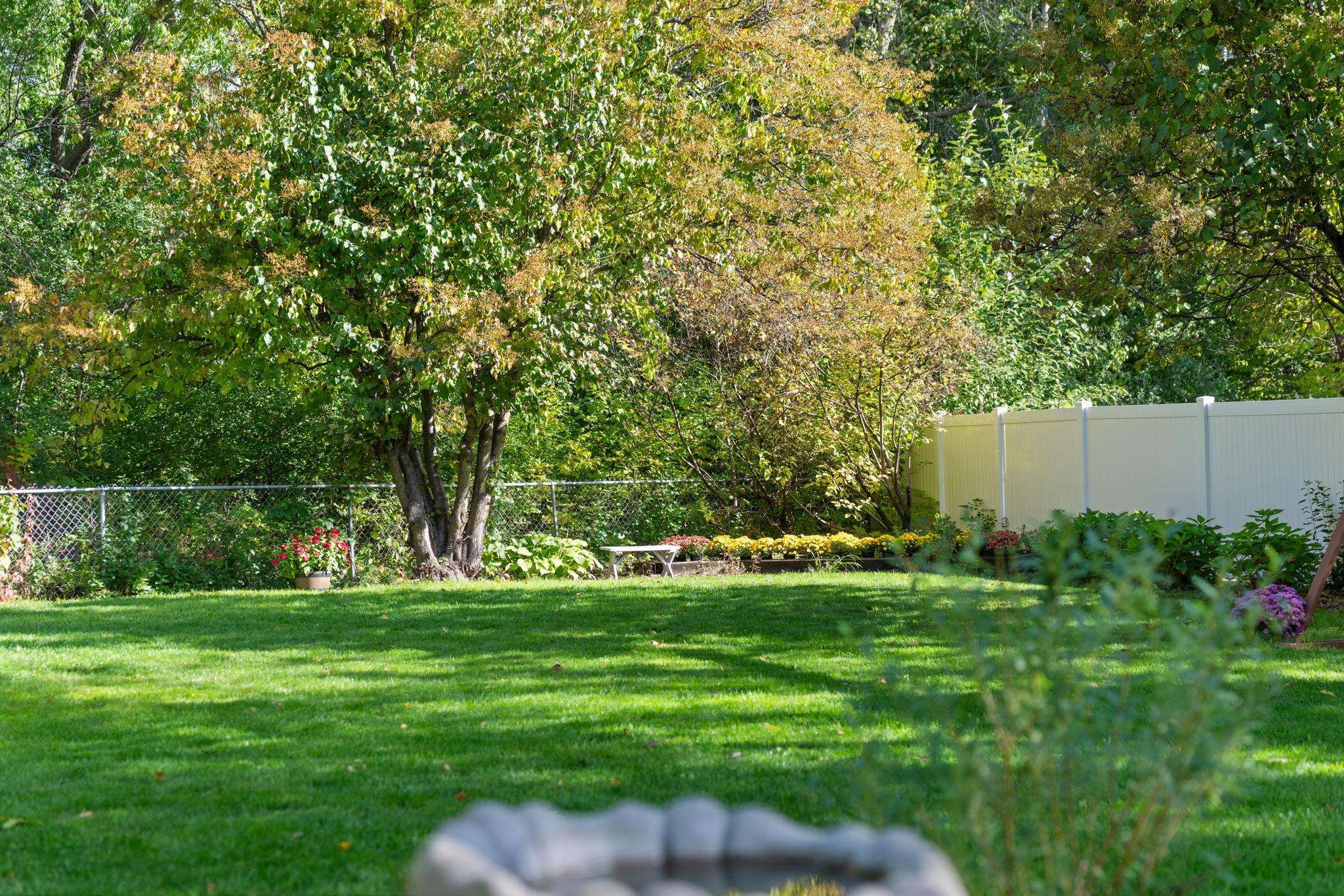 Spacious Backyard