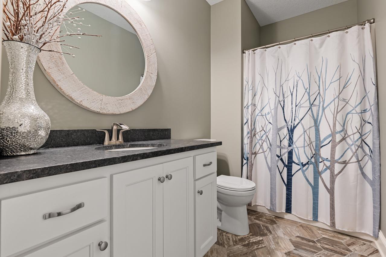 Lower-level bathroom