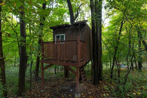 Charming backyard treehouse nestled among mature, tree-lined privacy.