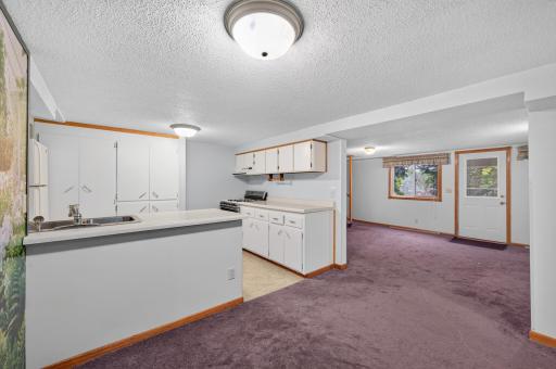 Lower level kitchen is perfect for canning!