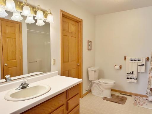 24913 Great Pine Drive, Nevis, MN 56467