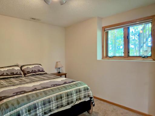 24913 Great Pine Drive, Nevis, MN 56467