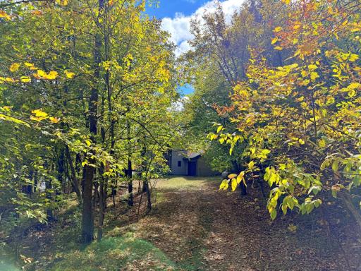 24913 Great Pine Drive, Nevis, MN 56467