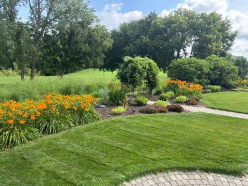 Summer blooms