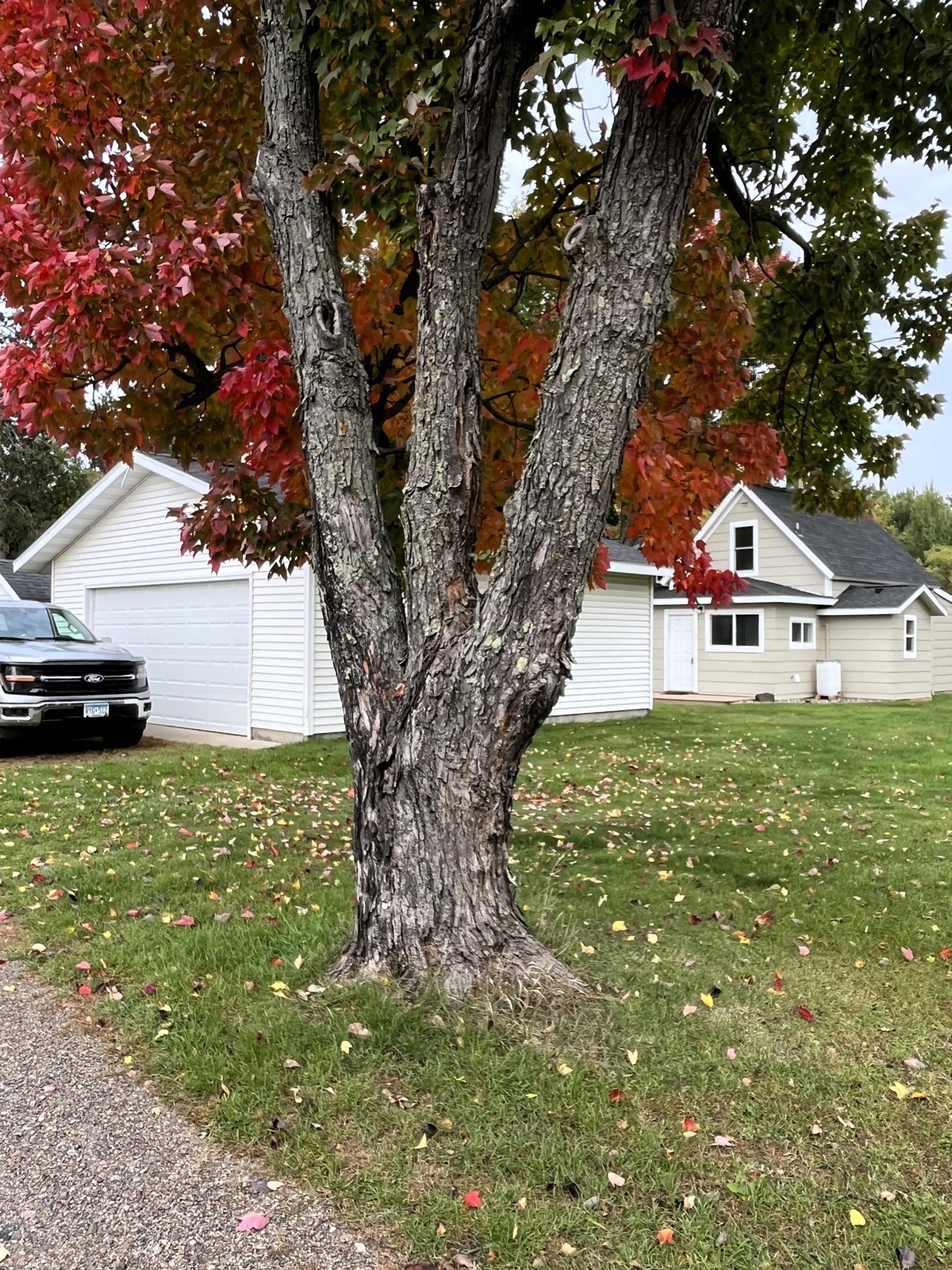Property photo for 206 Peary Street, Palisade, MN 56469