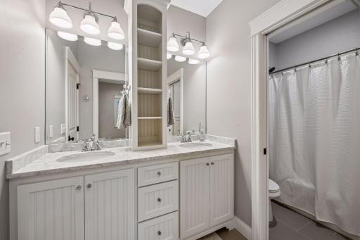 1610 Manchester Place, Waconia, MN 55387