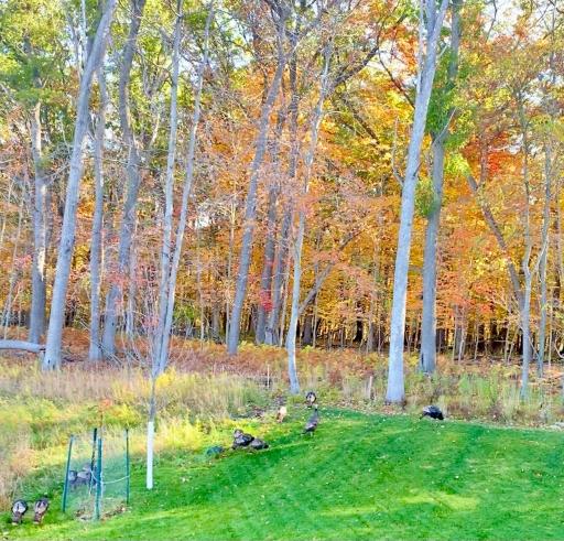 3549 129th Court NE, Blaine, MN 55449