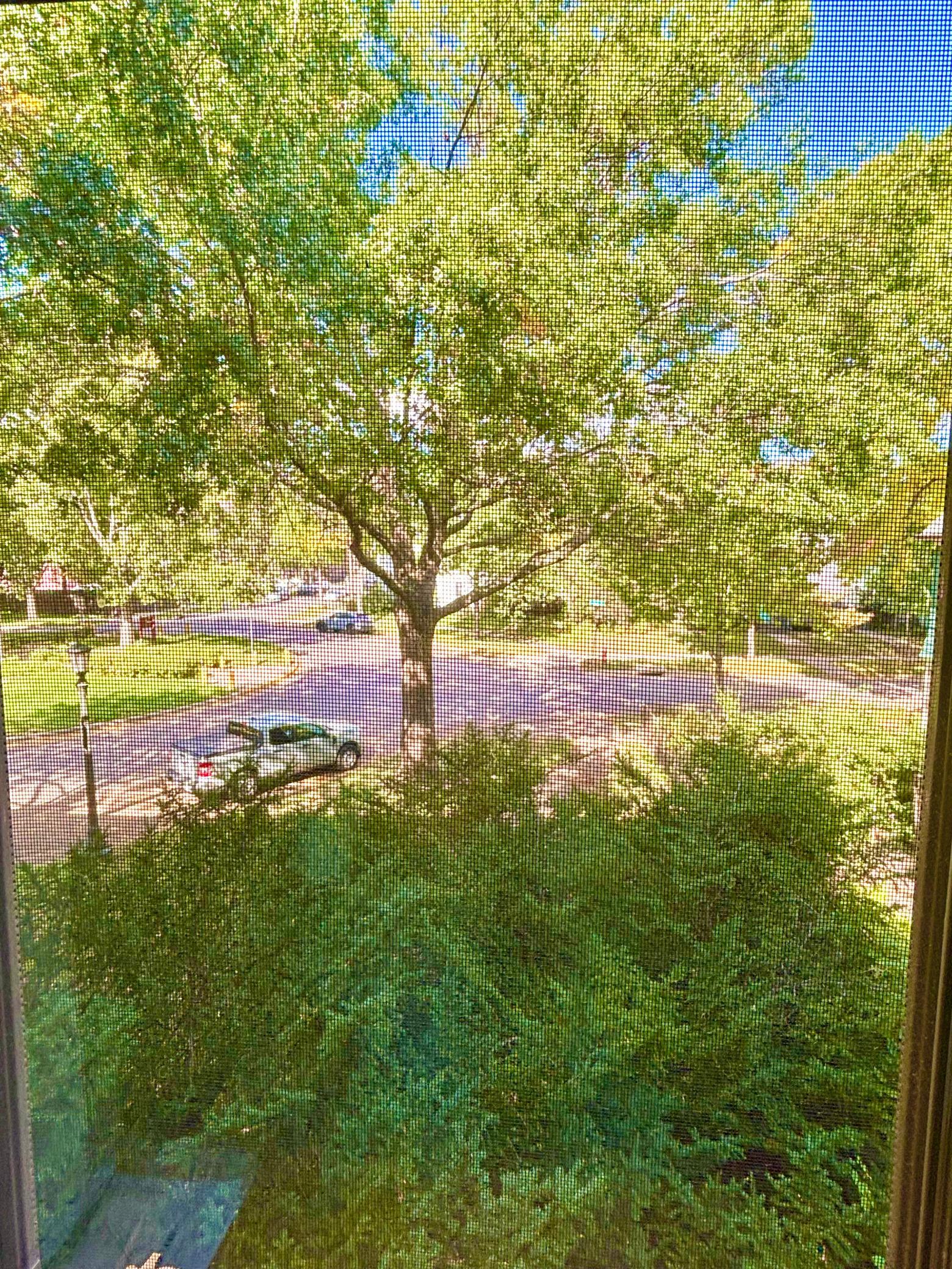 View out your Dining Room area