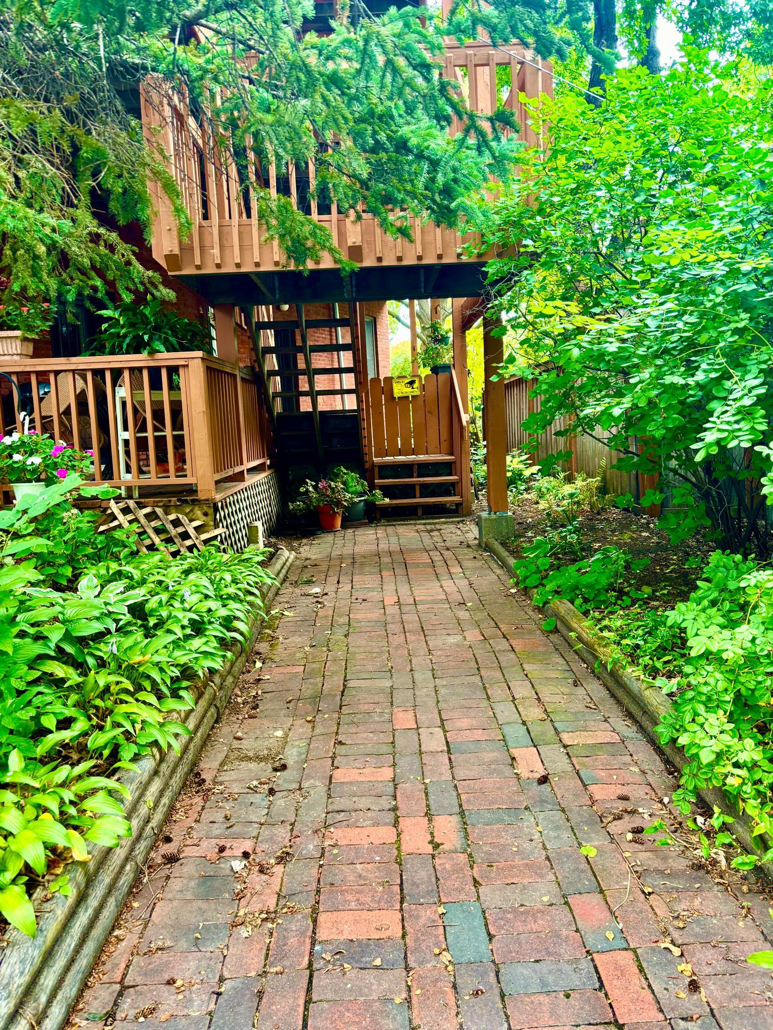 Lush greenery greets you if you use the back entrance