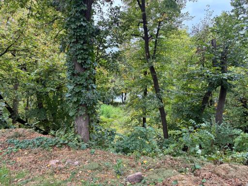 16796 Yale Street NW, Elk River, MN 55330