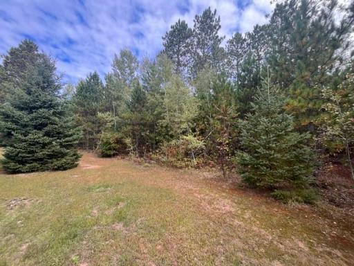 8924 Black Brook Road, Webster, WI 54893