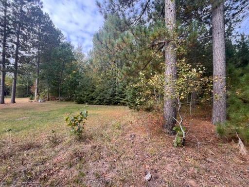 8924 Black Brook Road, Webster, WI 54893