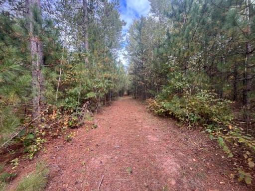 8924 Black Brook Road, Webster, WI 54893