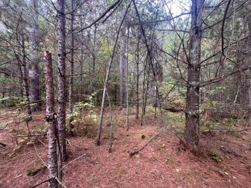 8924 Black Brook Road, Webster, WI 54893