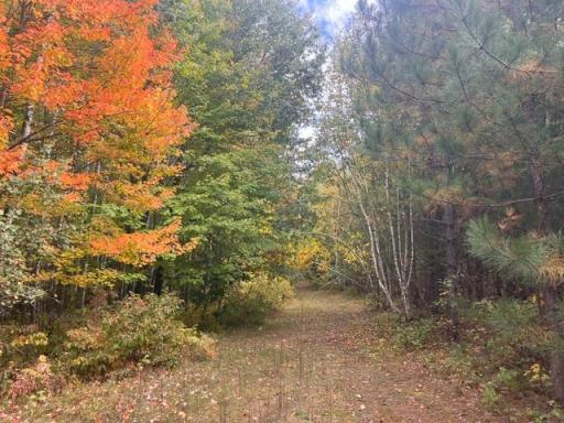8924 Black Brook Road, Webster, WI 54893