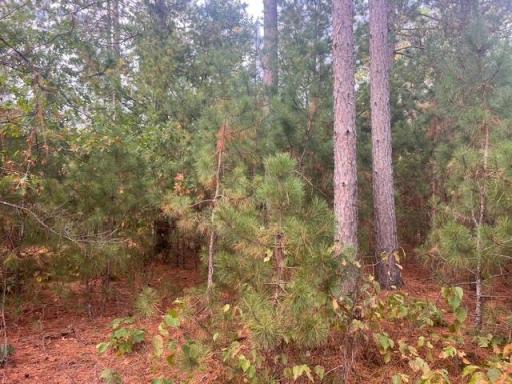 8924 Black Brook Road, Webster, WI 54893