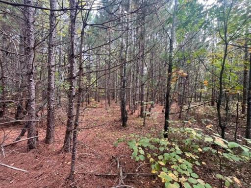 8924 Black Brook Road, Webster, WI 54893