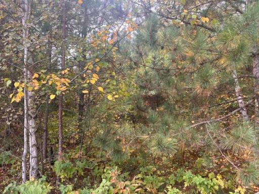 8924 Black Brook Road, Webster, WI 54893