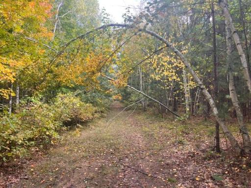 8924 Black Brook Road, Webster, WI 54893