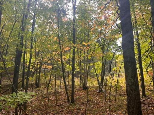 8924 Black Brook Road, Webster, WI 54893