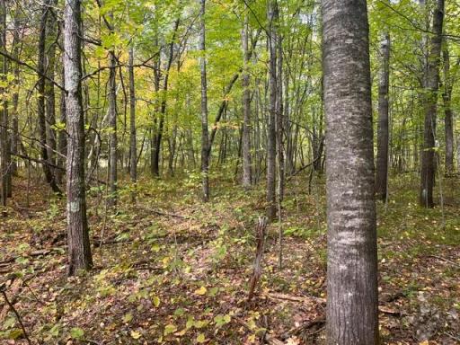 8924 Black Brook Road, Webster, WI 54893