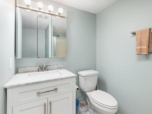 The lower level bathroom has also been beautifully updated