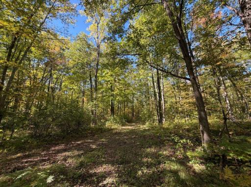 2764 320th Avenue, Brook Park, MN 55007