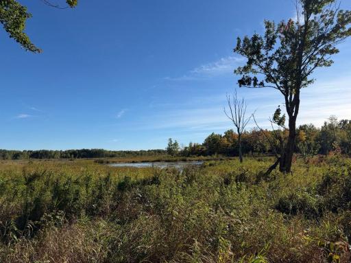 2764 320th Avenue, Brook Park, MN 55007