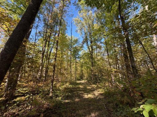 2764 320th Avenue, Brook Park, MN 55007