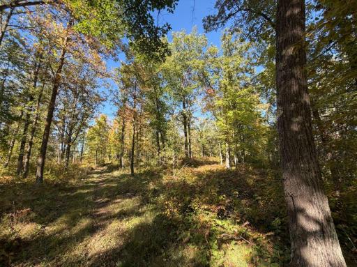 2764 320th Avenue, Brook Park, MN 55007