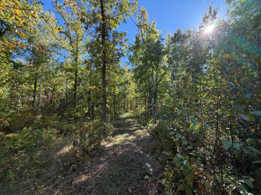 2764 320th Avenue, Brook Park, MN 55007