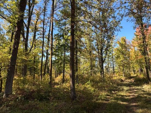 2764 320th Avenue, Brook Park, MN 55007