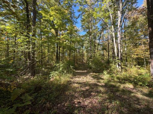 2764 320th Avenue, Brook Park, MN 55007