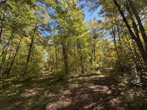 2764 320th Avenue, Brook Park, MN 55007