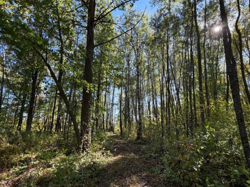 2764 320th Avenue, Brook Park, MN 55007