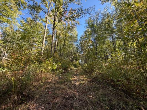2764 320th Avenue, Brook Park, MN 55007