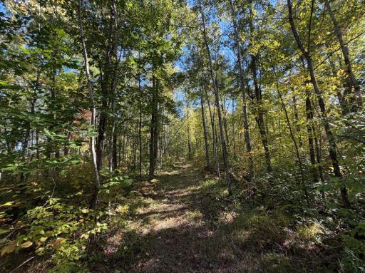 2764 320th Avenue, Brook Park, MN 55007