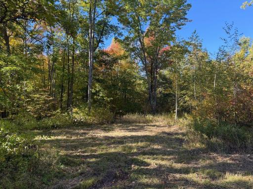 2764 320th Avenue, Brook Park, MN 55007