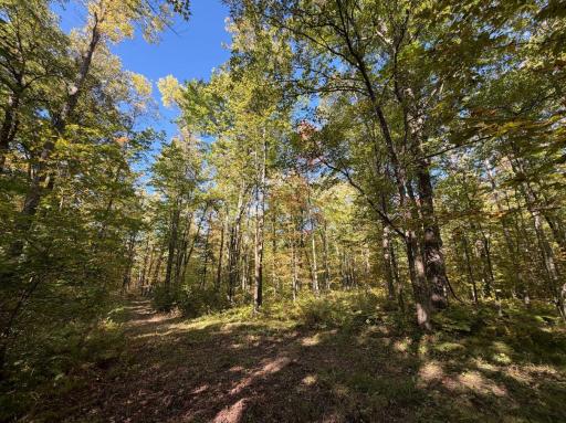 2764 320th Avenue, Brook Park, MN 55007