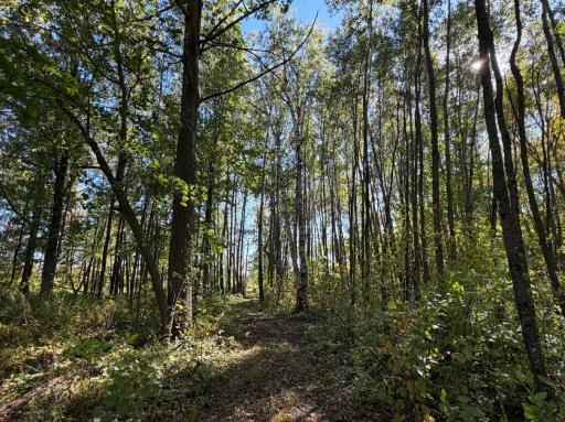 2764 320th Avenue, Brook Park, MN 55007