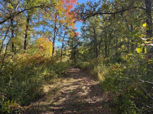 2764 320th Avenue, Brook Park, MN 55007