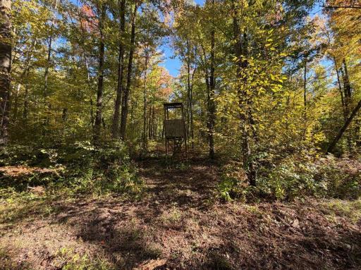 2764 320th Avenue, Brook Park, MN 55007