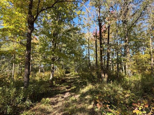 2764 320th Avenue, Brook Park, MN 55007