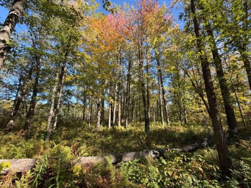 2764 320th Avenue, Brook Park, MN 55007