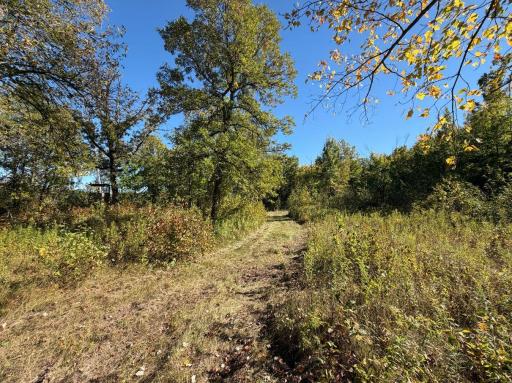 2764 320th Avenue, Brook Park, MN 55007
